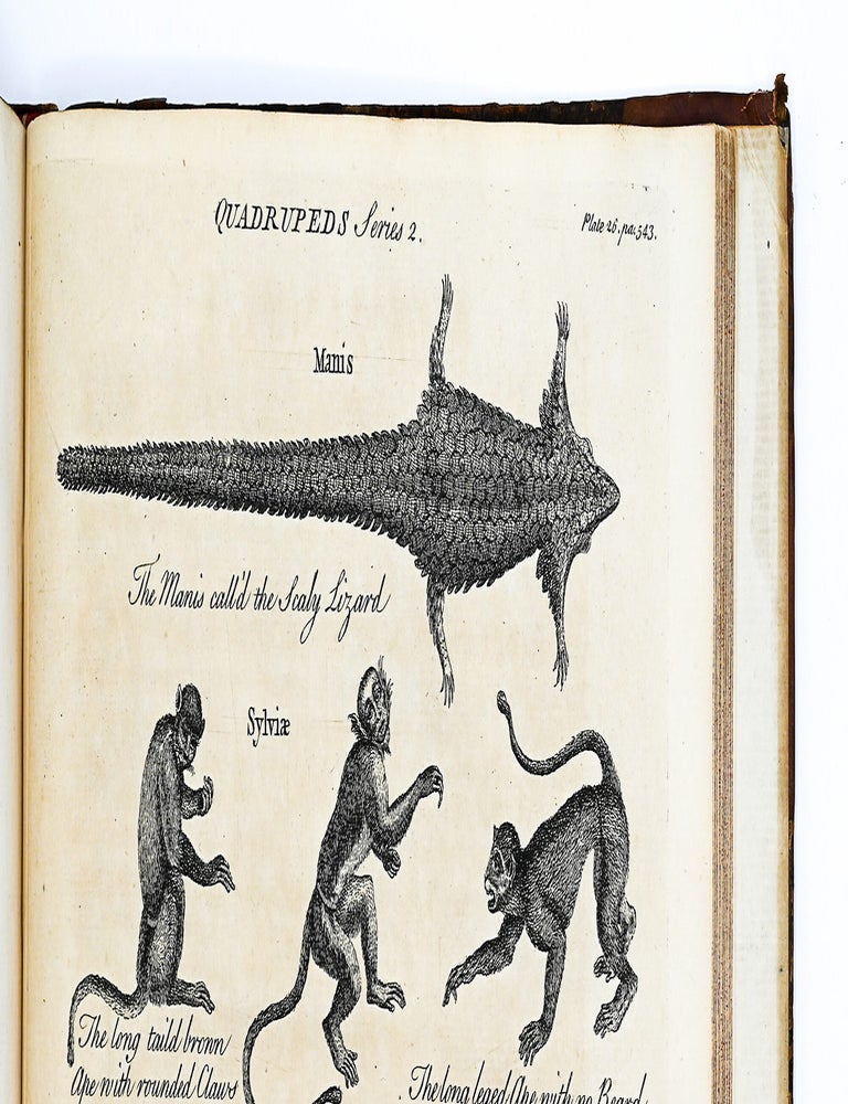 A GENERAL NATURAL HISTORY