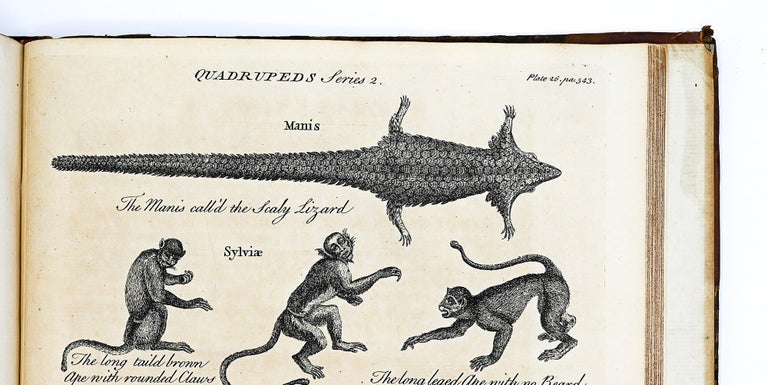 A GENERAL NATURAL HISTORY