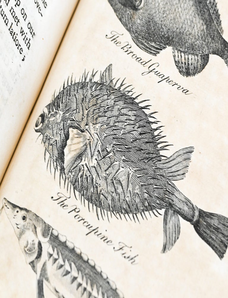 A GENERAL NATURAL HISTORY