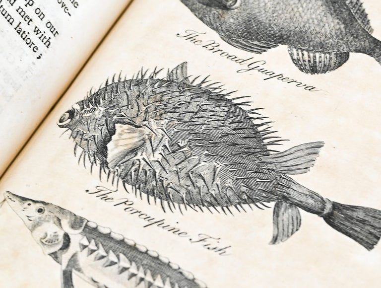 A GENERAL NATURAL HISTORY
