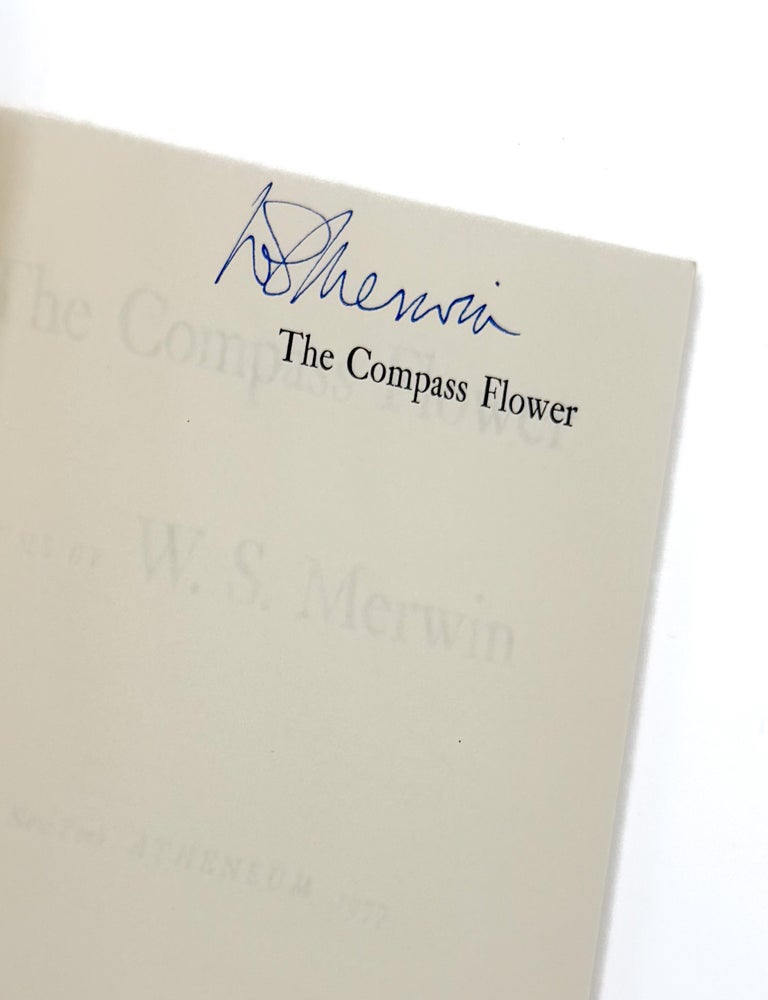 THE COMPASS FLOWER