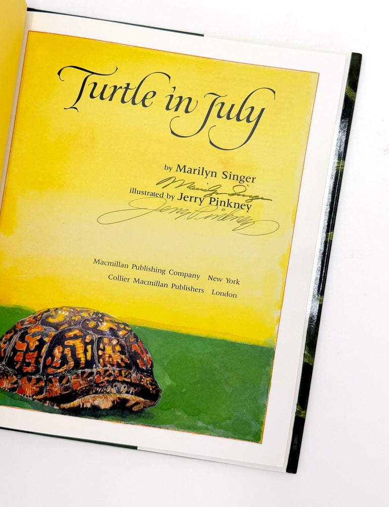 TURTLE IN JULY